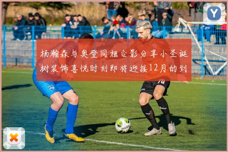 杨瀚森与奥登同框合影分享小圣诞树装饰喜悦时刻即将迎接12月的到来